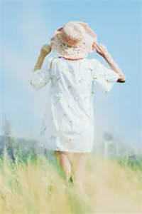 洛鸢贺禹森(洛鸢贺禹森)章节列表免费阅读_洛鸢贺禹森最新章节