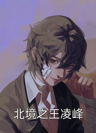 北境之王凌峰by岁月永恒在线阅读