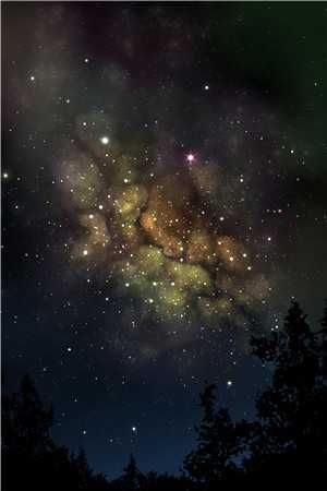 梁嘉年梁霆梁珍珍小说全文免费阅读