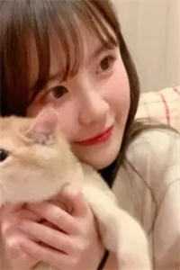 不灭的烛火（张成万黎宋怀阳）全文免费阅读_不灭的烛火最新章节列表