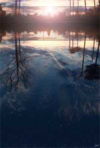 季淮安林婳主角小说免费阅读全文章节_季淮安林婳完整大结局