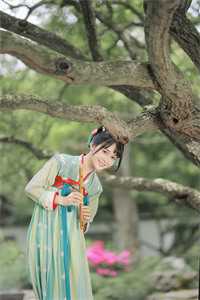 明兰若苍乔是什么小说_明兰若苍乔在线阅读全文章节目录