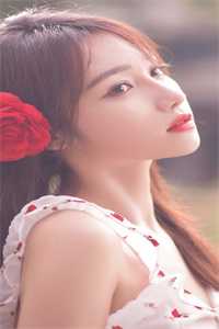 今天又是等离婚的一天(傅沉苏柔)小说在线章节免费阅读