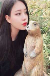 1497926慕紫沧云衡全文试读小说全本无弹窗"