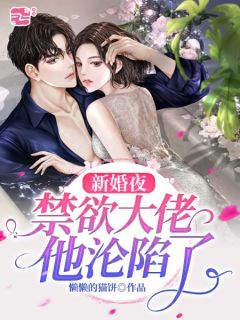 《新婚夜，禁欲大佬他沦陷了》小说完整章节新婚夜，禁欲大佬他沦陷了免费阅读