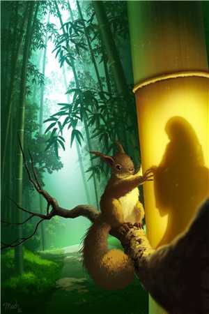 陈念徐晏清陆予阔免费阅读_（陈念徐晏清陆予阔）全文小说最新章节阅读