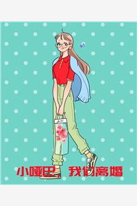 六分醉意的小说小哑巴我们离婚沈知瑶傅宴深全文阅读