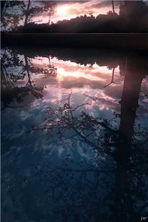 表面王爷(何清沈逸)小说免费阅读_(表面王爷)何清沈逸最新章节小说免费试读