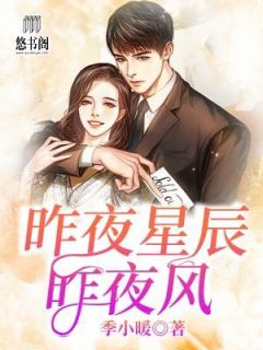 昨夜星辰昨夜风季小暖小说全章节最新阅读