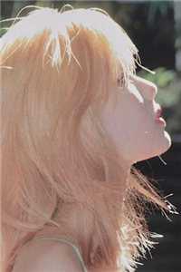 《祝君好》完整版在线阅读_祝君好（苏婉依秦啸风）小说