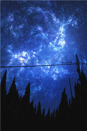 道是无情却难离(陆凝雪齐濯)小说全文_道是无情却难离章节列表