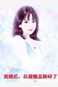 渡江入月的小说离婚后总裁膝盖跪碎了秦声微林厌述全文阅读