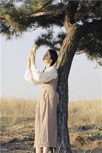 不负佳人不负卿(萧亦辰谢若汐)免费小说_不负佳人不负卿完整版阅读