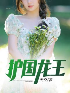 护国龙王天空小说免费阅读