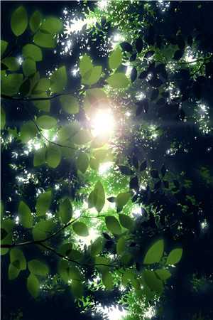 《我的男朋友是警校校草》夏暖江引川小说全部章节目录