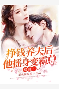 双替挣钱养夫后他摇身变霸总陆久琛向晴小说_双替挣钱养夫后他摇身变霸总免费阅读