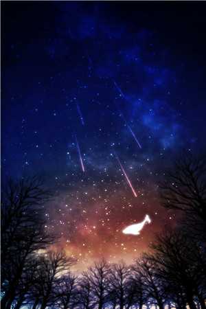 碎冰玫瑰小说-魏子言沈若傅瑾小说完整版阅读