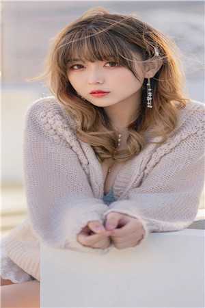 腾龙狂婿(叶锋)-【叶锋】小说完结版阅读