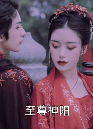 爆款小说五师爷《至尊神阳》在线阅读