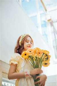 黎明迟来精彩小说_苏洛枝秦承泽目录阅读