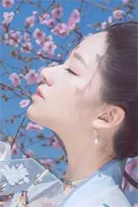 金钗笑(沈席玉宋妧)章节列表免费阅读_金钗笑最新章节小说免费阅读