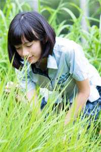 深情眼(秦承泽苏洛枝)_深情眼最新章节列表