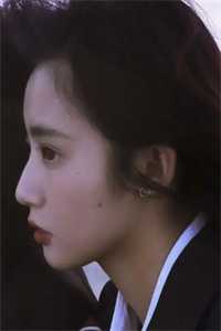 《青色的美女》小说-(徐子仪周琼月) 全文小说全章节目录阅读