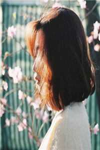 不负佳人不负卿(萧亦辰谢若汐)小说_不负佳人不负卿最新章节全文阅读