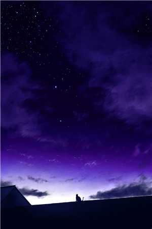 宁婉陆子昂顾凉西小说免费阅读