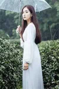 碎冰玫瑰（魏子言沈若傅瑾）全文免费阅读_碎冰玫瑰魏子言沈若傅瑾最新章节小说免费阅读