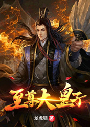 至尊大皇子小说 至尊大皇子免费阅读
