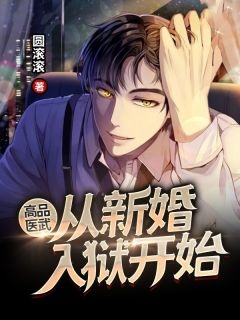 高品医武从新婚入狱开始陆星晨马丽萍小说_高品医武从新婚入狱开始免费阅读