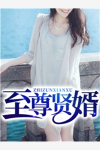 至尊贤婿小说秦风杨若曦完结版全章节阅读