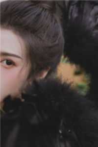 《极品女神》苏晴陆小伟全文小说_极品女神最新章节阅读