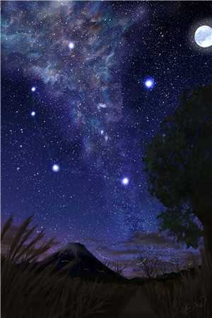 上头男友小说 沈杭林西西全集免费阅读