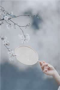 逆路重生梁龙陆媛小说-（梁龙陆媛）小说完整版阅读