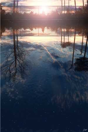 《中关村的相遇》周洲言辞林清小说在线阅读