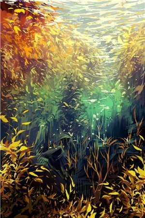 《篮球场的校花》全本小说_陆烟顾延全章节阅读