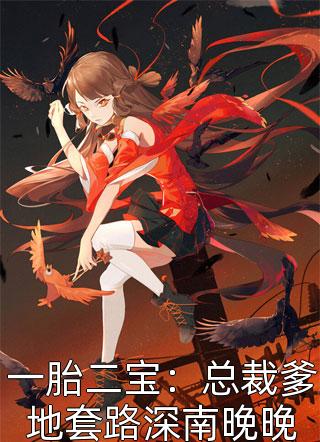 一胎二宝：总裁爹地套路深南晚晚南方有南小说免费阅读