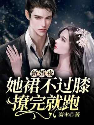 海聿的小说_新婚夜她裙不过膝撩完就跑盛小念夜厉琛小说阅读