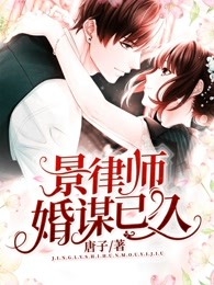 景律师婚谋已久林小夕景晨小说_景律师婚谋已久免费阅读