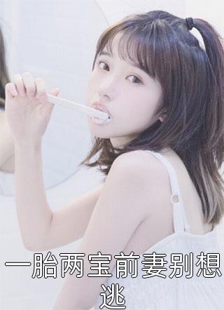 一胎两宝前妻别想逃一碗蛋花汤小说免费阅读