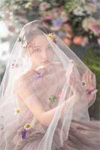 《漫山白玫》免费小说_秦瑞温瑜完整版阅读