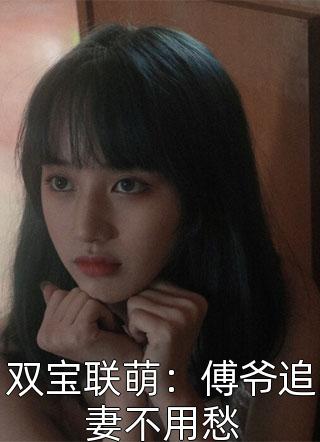 双宝联萌：傅爷追妻不用愁免费小说甜茶甜茶全文阅读