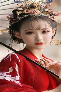 只为改梦(萧锦鹤罗玉珍)免费小说_只为改梦最新章节阅读