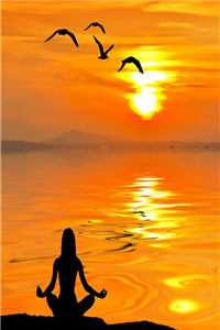 陈年旧秦免费（阅读秦旭陈烟）-陈年旧秦最新章节列表阅读