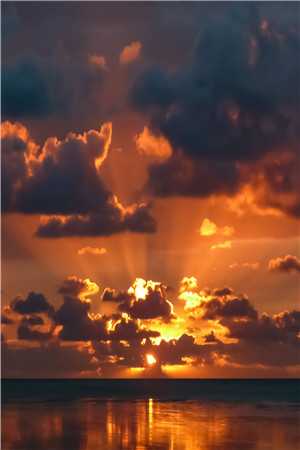 《我是一个妃子，我决定不争宠了》艳妃菁妃全文免费阅读【完结】