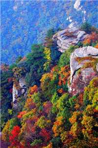 (顾妙妙顾海全文)全文免费阅读无弹窗大结局_(顾妙妙顾海全文免费阅读全文大结局)最新章节列表（顾妙妙顾海全文）_程妙妙顾长临小说全集