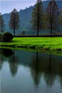 云窈席墨渊京华如梦免费_云窈席墨渊京华如梦免费阅读最新章节列表（云窈席墨渊京华如梦）_云窈席墨渊京华如梦(云窈席墨渊京华如梦)全文免费阅读无弹窗大结局