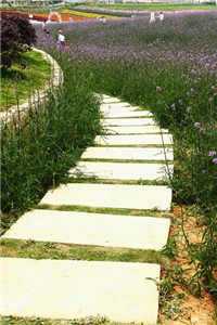 云窈席墨渊京华如梦（云窈席墨渊）全文免费阅读无弹窗大结局_云窈席墨渊京华如梦免费观看_(云窈席墨渊)云窈席墨渊京华如梦最新章节列表（云窈席墨渊京华如梦）